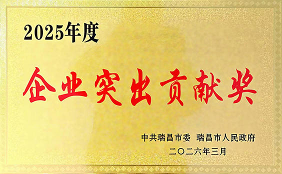 2026年3月13日,江西亚东获颁瑞昌市 2026年3月13日,江西亚东获颁瑞昌市
